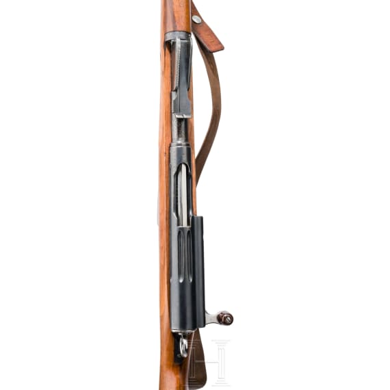 Gewehr Mod. 1889