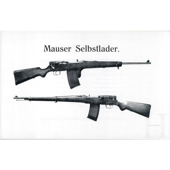 Gro&szlig;es Konvolut Waffenbeschreibungen und Handb&uuml;cher, meist Nachdrucke (Inkl. Salvator-Dormus und Schwarzlose)