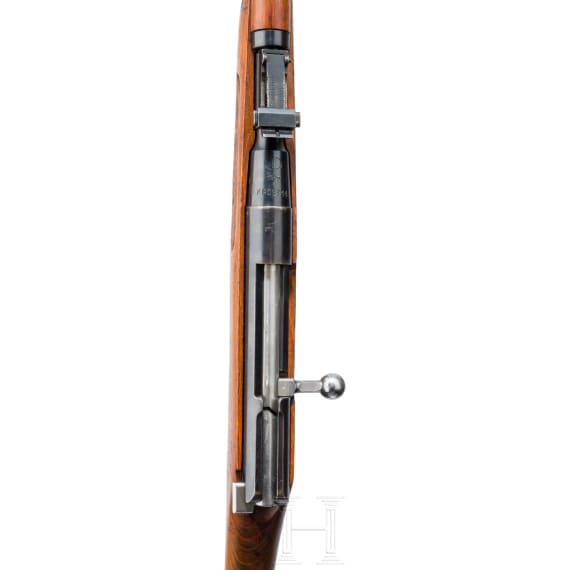 Wehrsportgewehr Mosin-Nagant, Polen