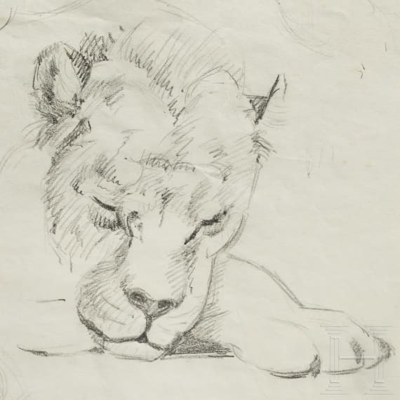 Erzherzog Rudolf von &Ouml;sterreich - Bleistiftstudien zu afrikanischen Tierarten, um 1880