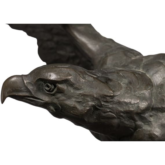 Gro&szlig;er Bronzeadler