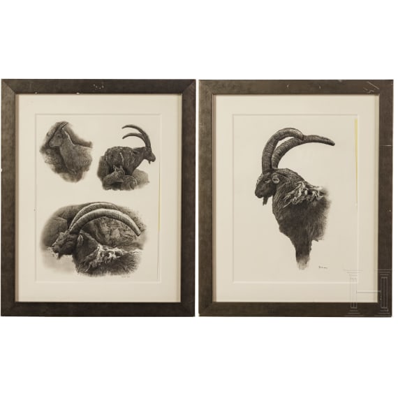 A pair of signed ibex drawings, dated 2006