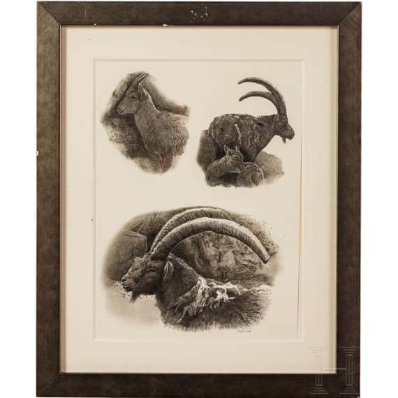 A pair of signed ibex drawings, dated 2006