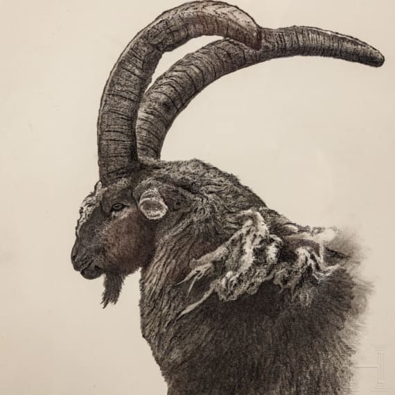 A pair of signed ibex drawings, dated 2006