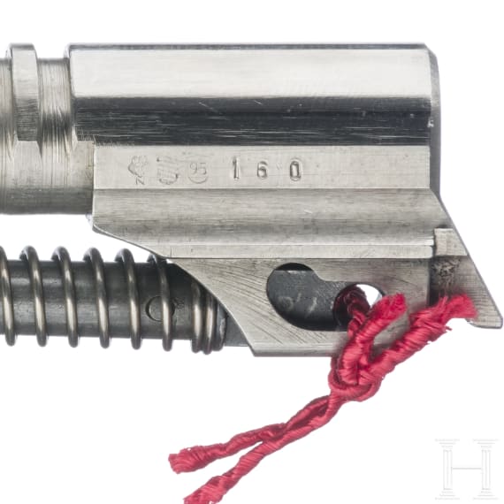 Conversion barrel SIG Mod. 210