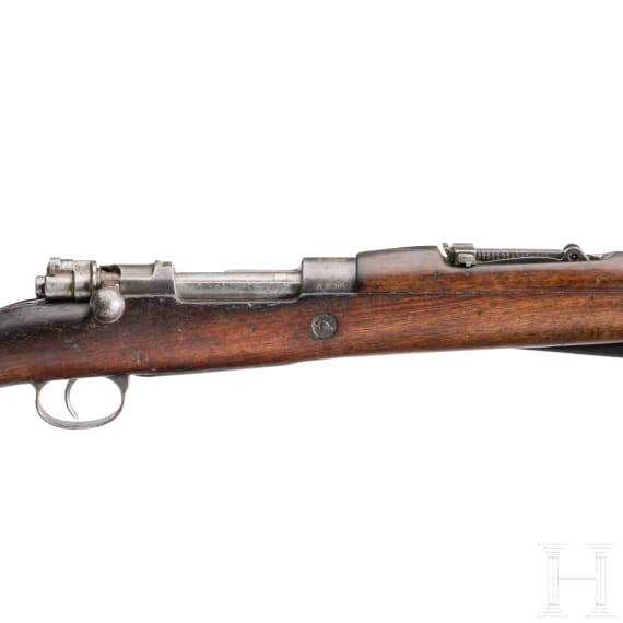FN Mod. 24