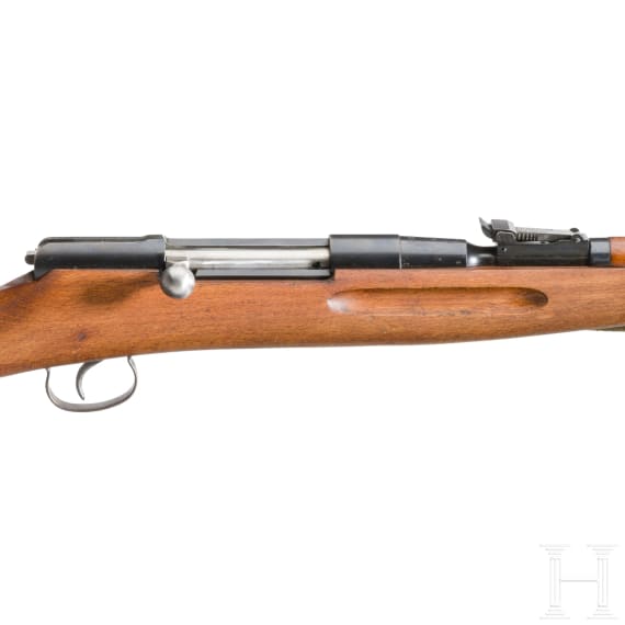 Radom, Mod. Wehrsportgewehr