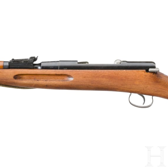 Radom, Mod. Wehrsportgewehr