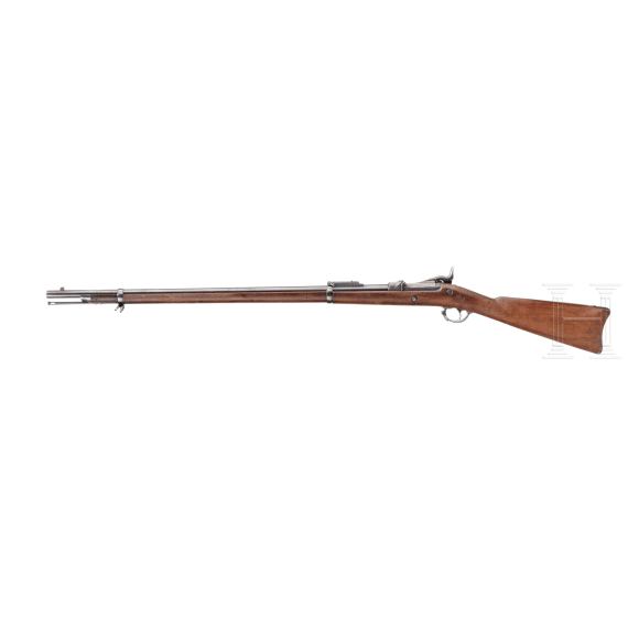 Springfield Mod. 1884 "Trapdoor" Rifle