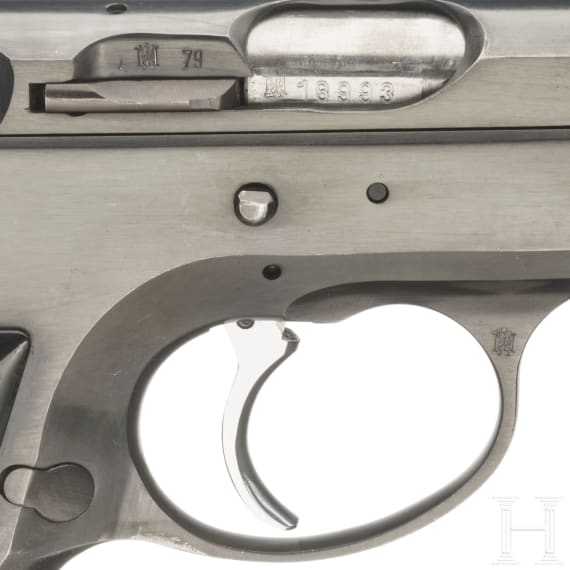 Gewehr Werder M 1869, alte Art, aptiert