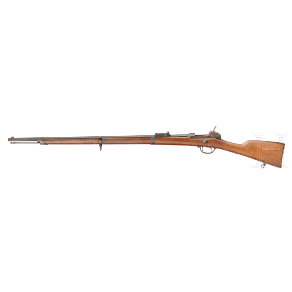 Werdergewehr M69