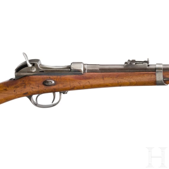 Gewehr Werder M 1869, alte Art, Muster