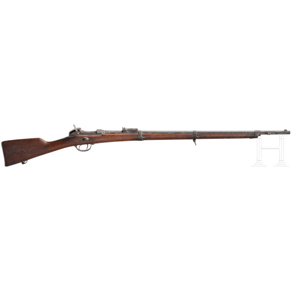 Gewehr Werder M 1869 alter Art, aptiert
