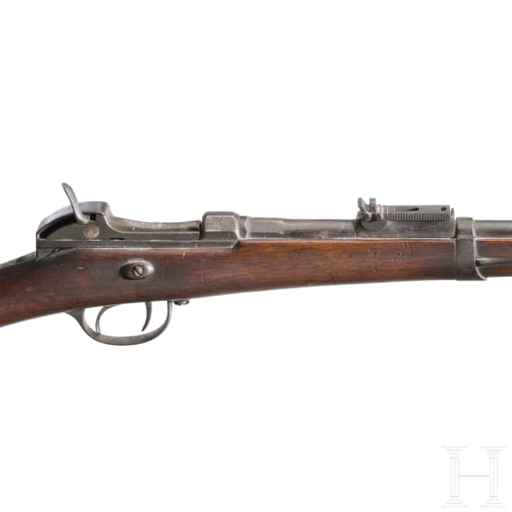 Gewehr Werder M 1869 alter Art, aptiert