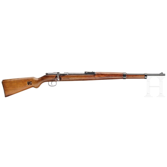 Wehrsportgewehr BSW