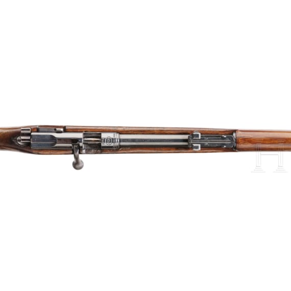 Wehrsportgewehr BSW