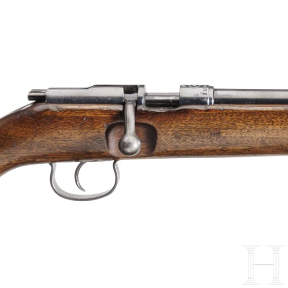 Wehrsportgewehr BSW