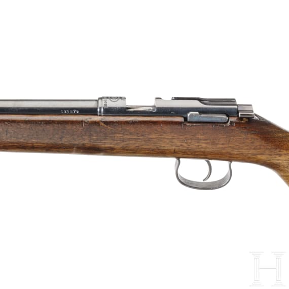 Wehrsportgewehr BSW