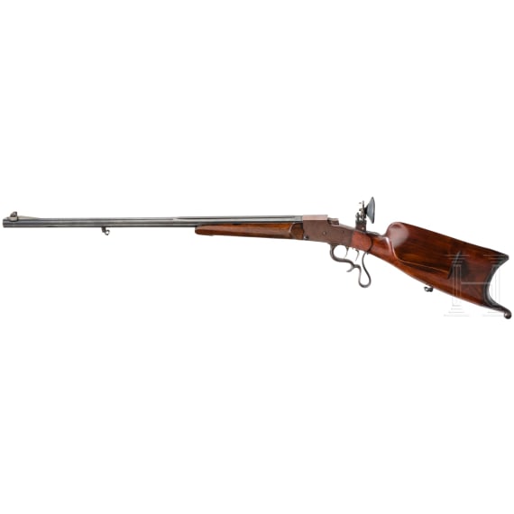 A gallery rifle Braun, Koblenz