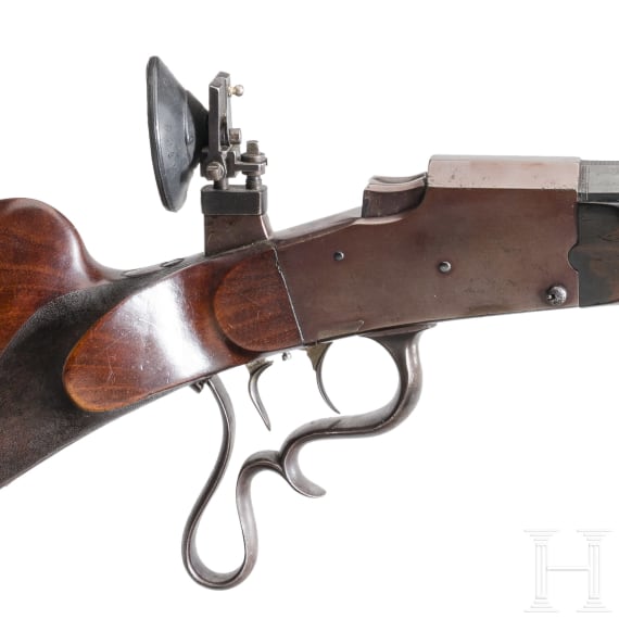 A gallery rifle Braun, Koblenz