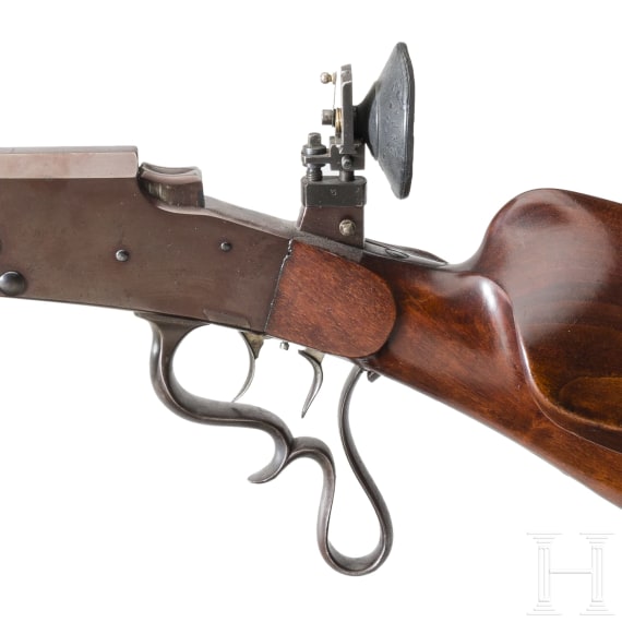 A gallery rifle Braun, Koblenz