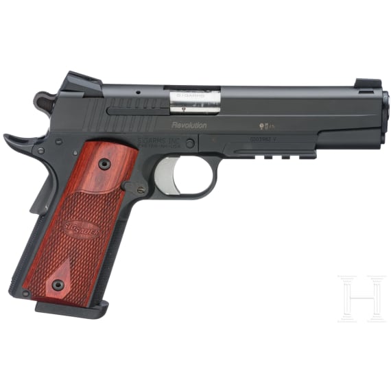 A Sig Arms, Mod. GSR Revolution, in case
