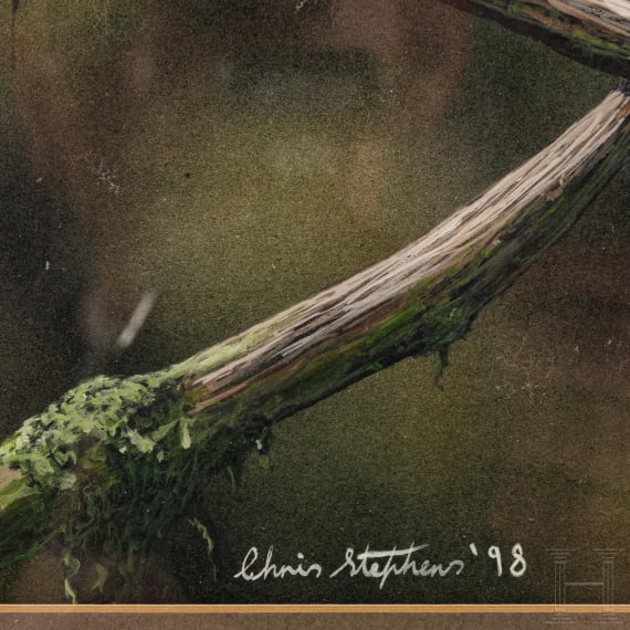 Christopher Stephens, "Indian Hornbill, female", England, datiert 1998