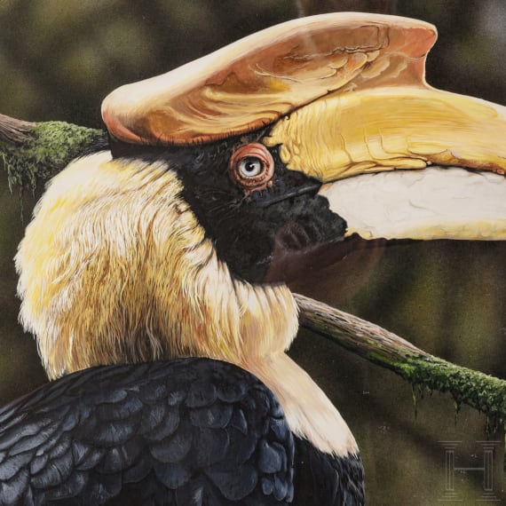 Christopher Stephens, "Indian Hornbill, female", England, datiert 1998