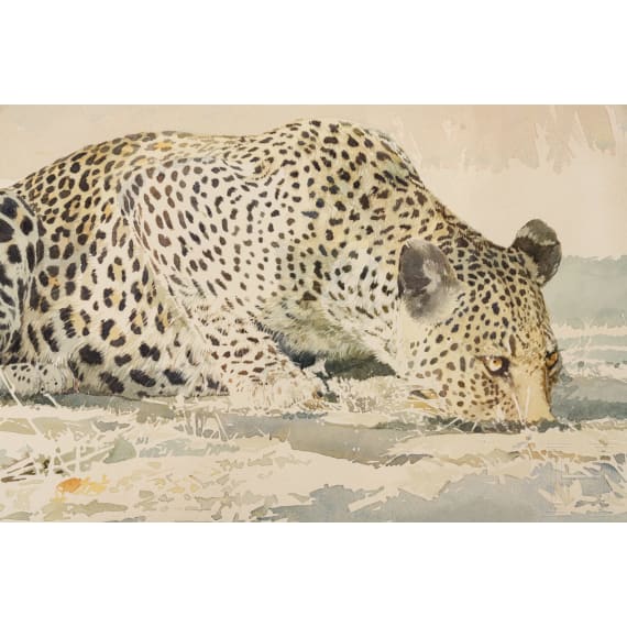Leigh Voight, "Leopard drinking", S&uuml;dafrika, datiert 1997