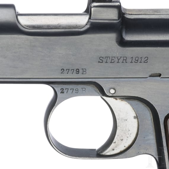 Steyr, Mod. 1911