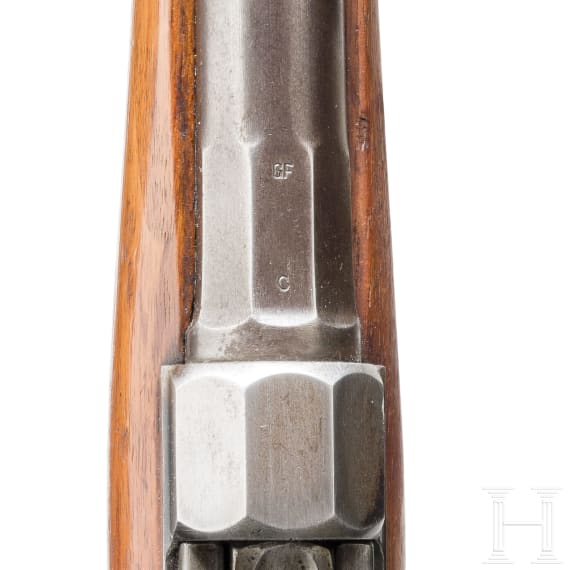 Gewehr Werder M 1869, alte Art, Muster