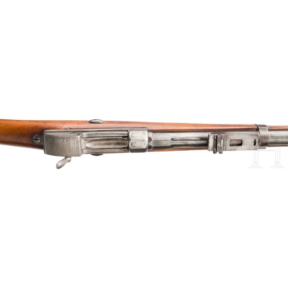 Werder-Gewehr M 1869