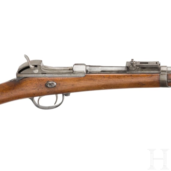 Werder-Gewehr M 1869