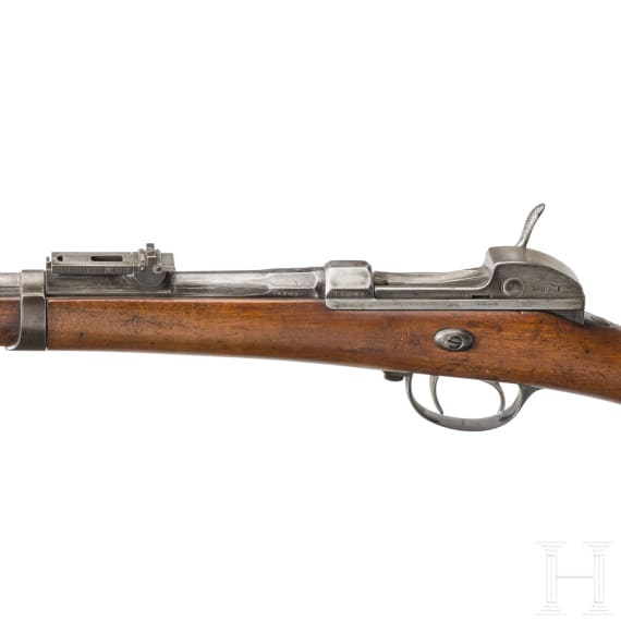 Werder-Gewehr M 1869