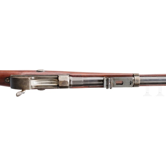 Werde-Gewehr M 1869, aptiert