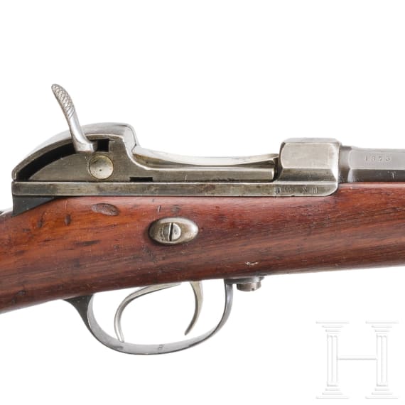 Werde-Gewehr M 1869, aptiert