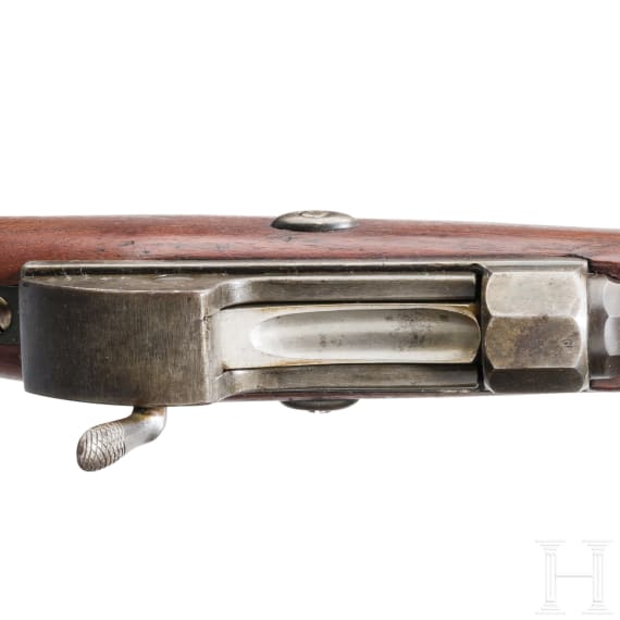 Werde-Gewehr M 1869, aptiert