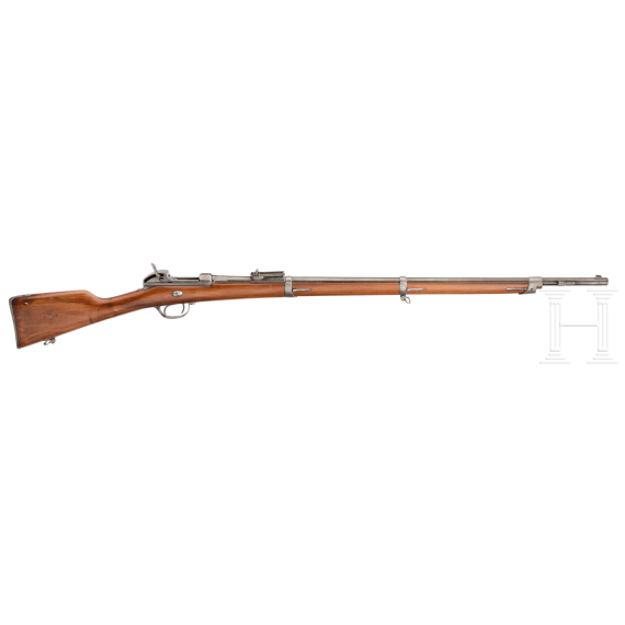 Werder-Gewehr M 1869, aptiert