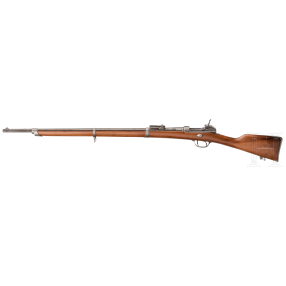 Werder-Gewehr M 1869, aptiert