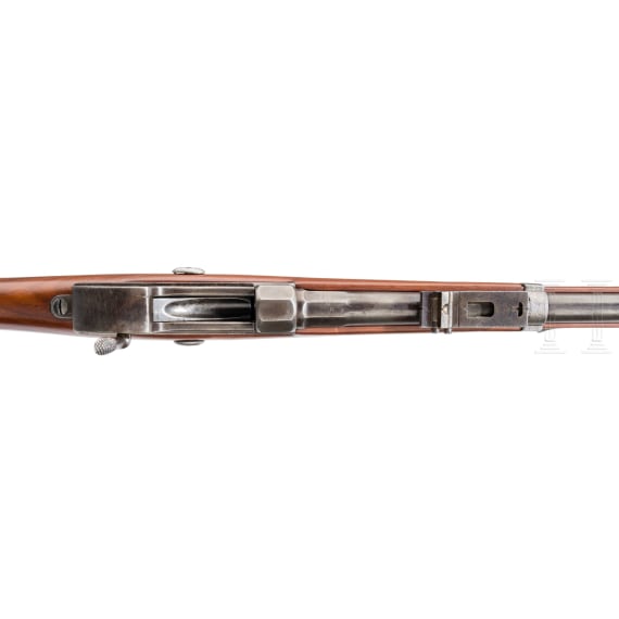 Werder-Gewehr M 1869, aptiert