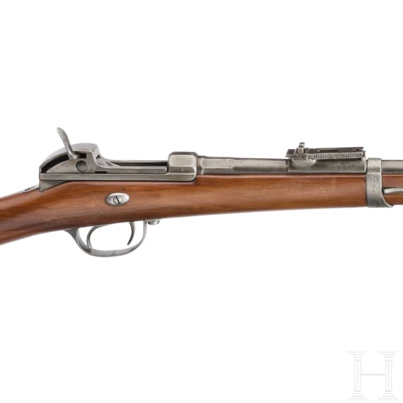 Werder-Gewehr M 1869, aptiert