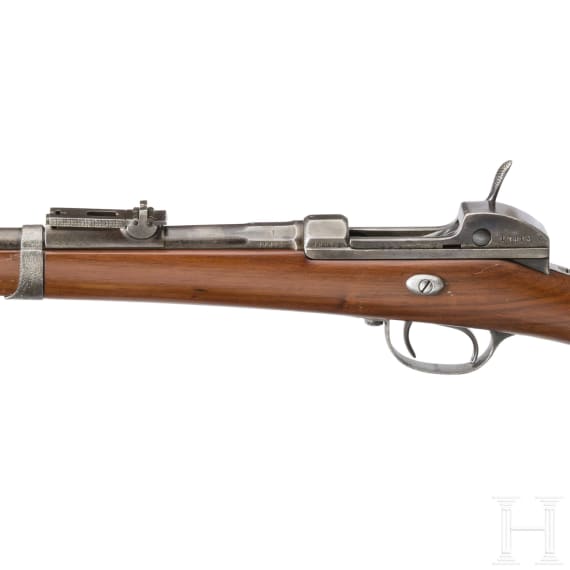 Werder-Gewehr M 1869, aptiert