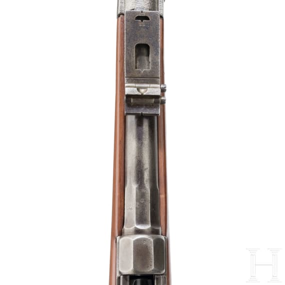 Werder-Gewehr M 1869, aptiert
