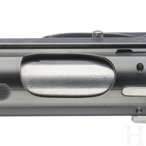 SIG P 210-4, BGS