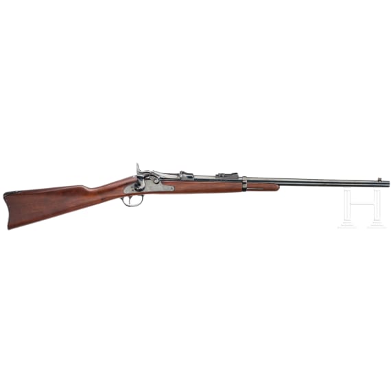 Springfield Mod. 1873 Carbine