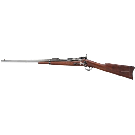 Springfield Mod. 1873 Carbine