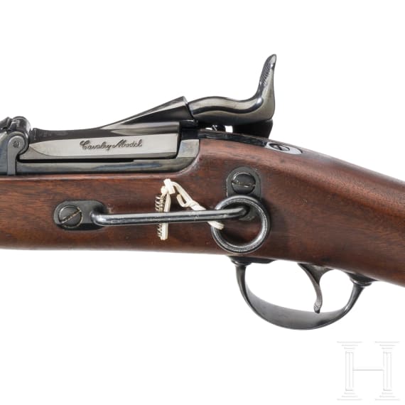 Springfield Mod. 1873 Carbine