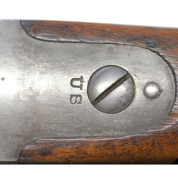 Springfield Model 1878, sog. "Trapdoor" Rifle