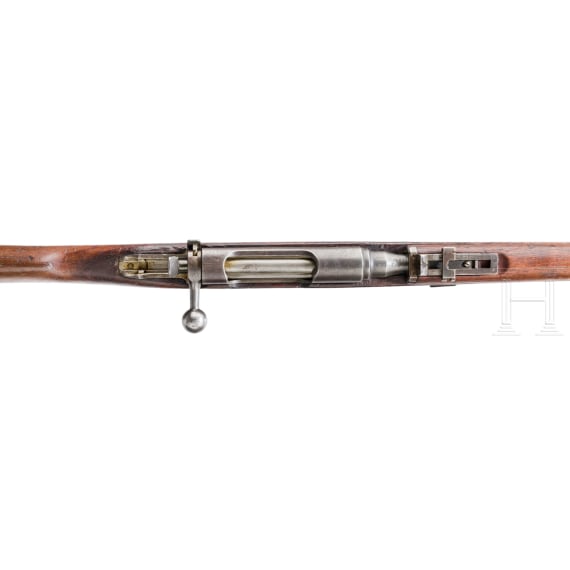 Gewehr Steyr Mod. 1895