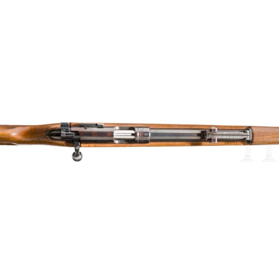 Wehrsportgewehr Gustloff ("KKW"), SA d. NSDAP